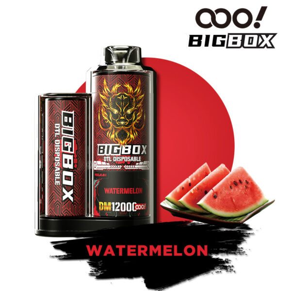 OOO! BIGBOX DTL/DL Wegwerp E-sigaret Vape POD Shisha 12000 Puffs(trekjes) verstelbare luchtstroom 25ml